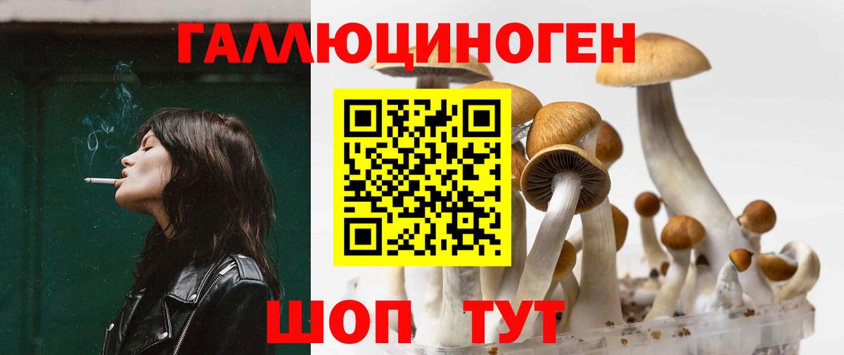 магазин    Вход с VPN  Псилоцибиновые грибы Cubensis  Воронеж  Псилоцибиновые грибы мицелий 